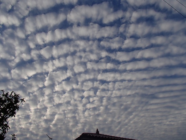 e0200529_17293137.jpg