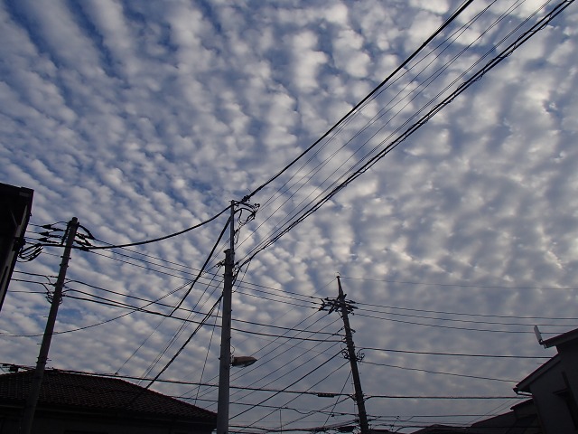 e0200529_17295374.jpg
