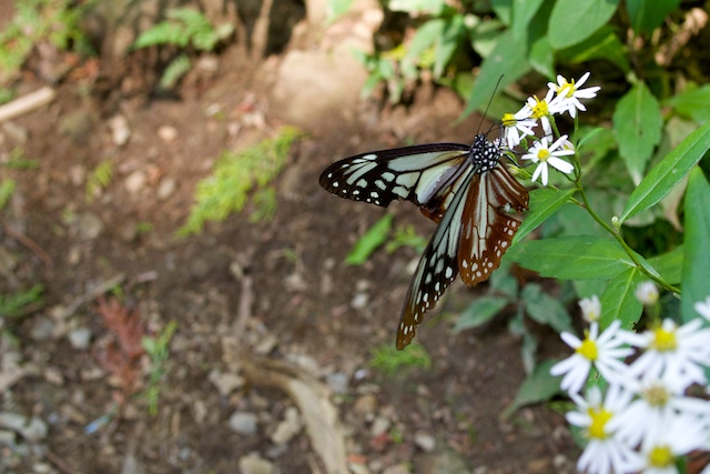 c0093131_2118862.jpg