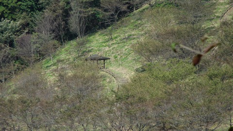e0202031_21145310.jpg