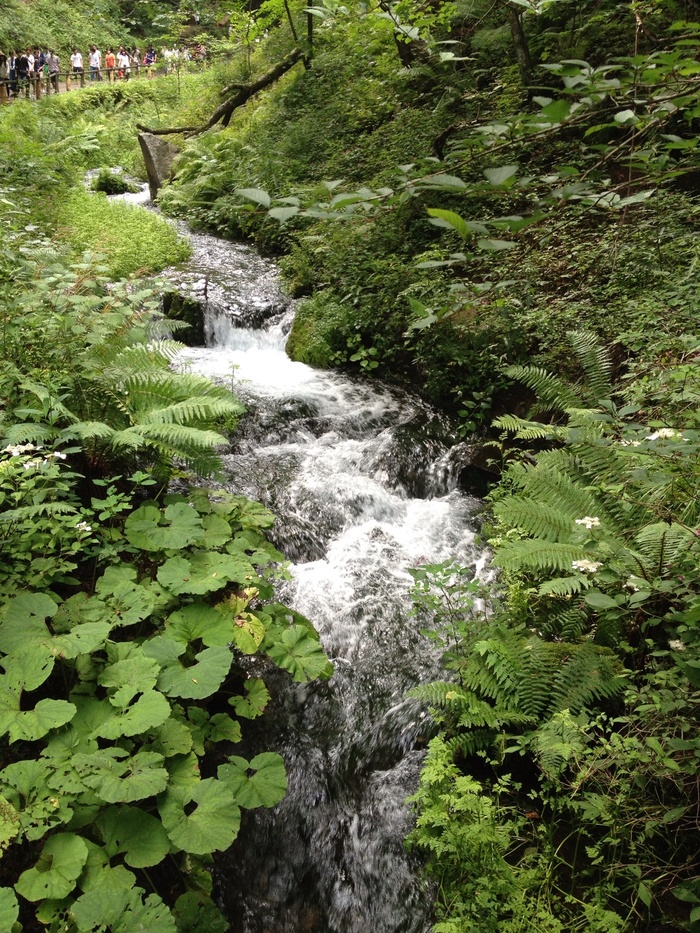 b0275132_08428.jpg