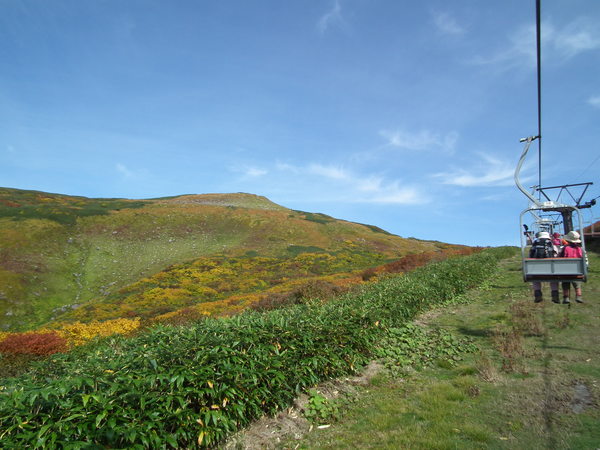 f0118332_224767.jpg