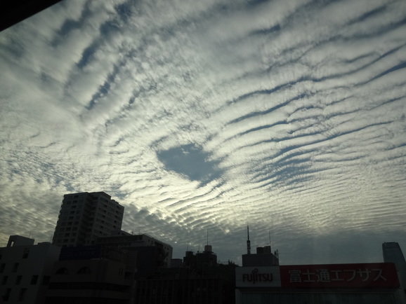 d0219834_732287.jpg
