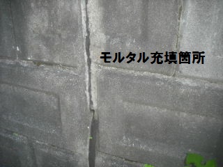 f0031037_21133572.jpg