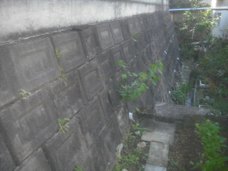 f0031037_21134135.jpg