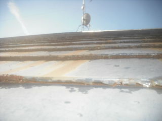 f0031037_21161453.jpg