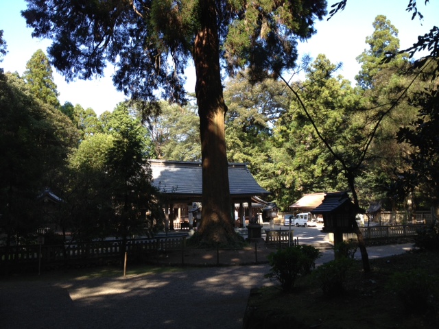 宮崎県高原町狭野神社_d0009738_14383081.jpg