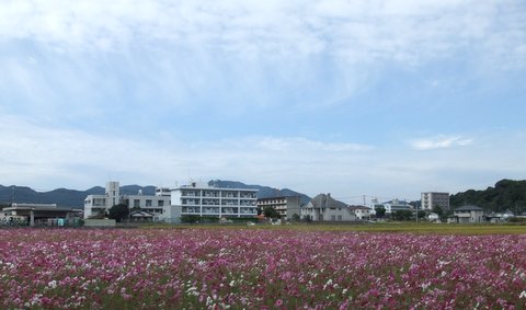 f0210340_1805740.jpg