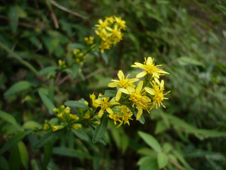 f0090444_22262242.jpg