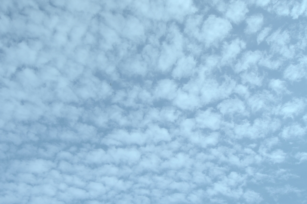e0199945_2140874.jpg