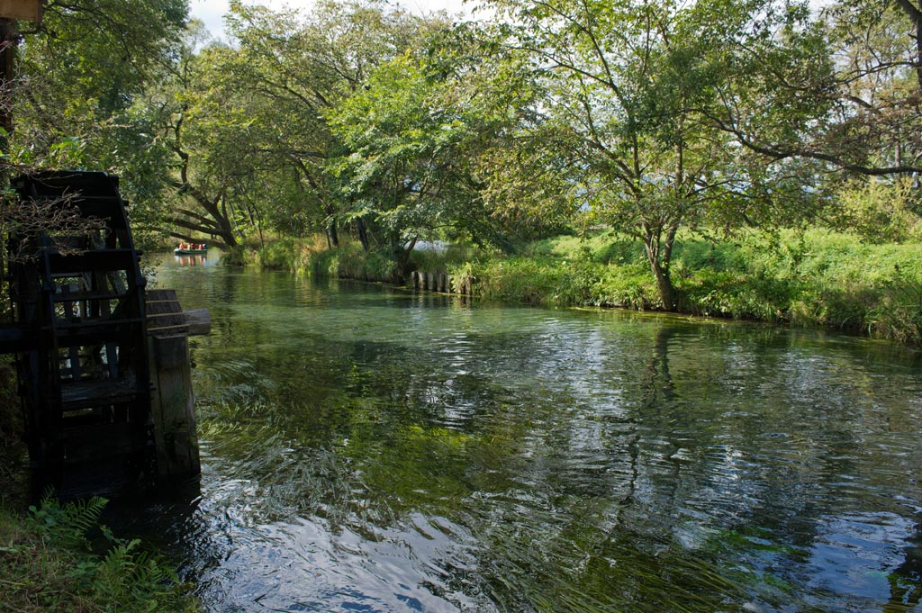 ◆蓼川　長野県安曇野市　大王わさび農場_b0023047_617225.jpg