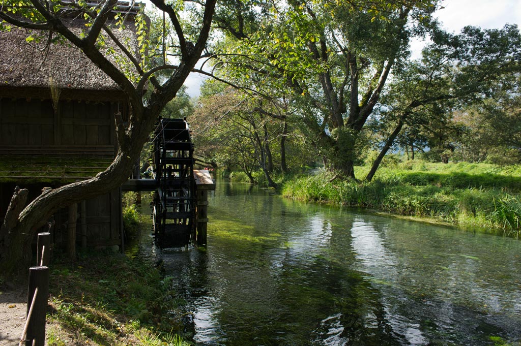 ◆蓼川　長野県安曇野市　大王わさび農場_b0023047_6172730.jpg