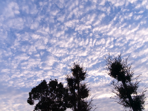 e0183648_044356.jpg