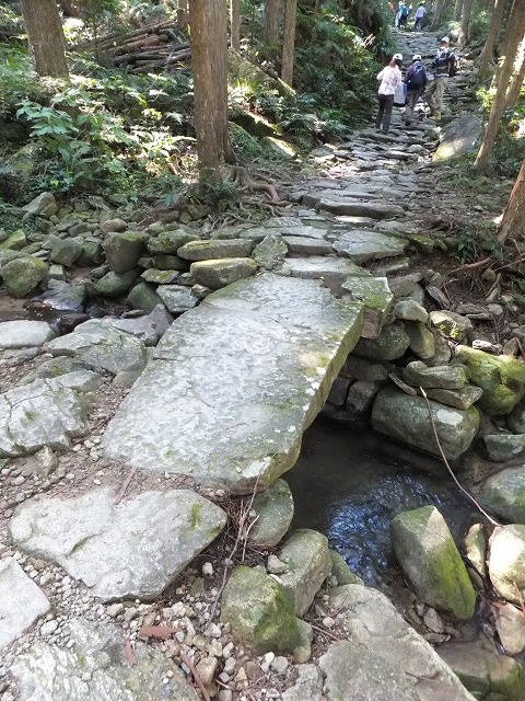 d0048350_20232676.jpg