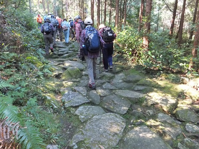 d0048350_202397.jpg