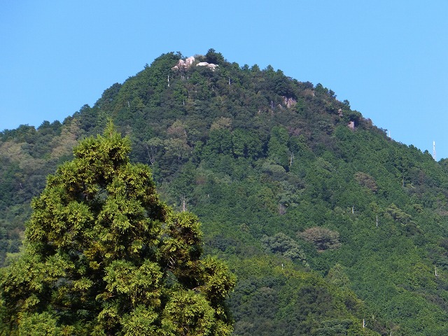 d0048350_20244165.jpg