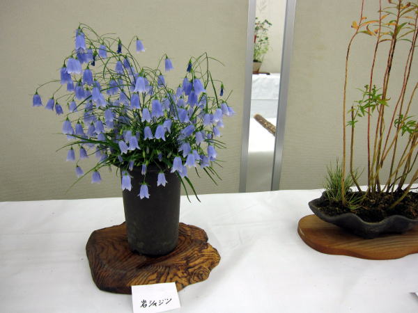 c0147952_1724870.jpg