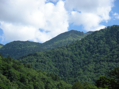 a0063554_8261859.jpg