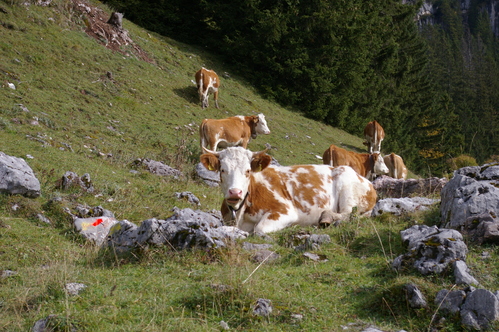 b0175255_21453417.jpg