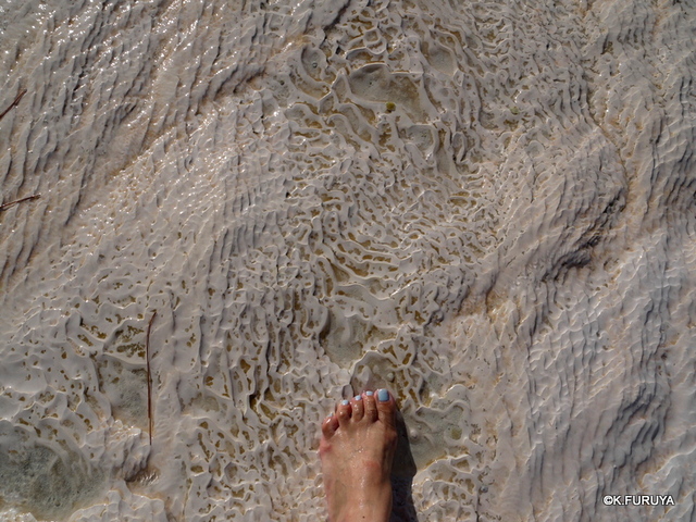 a0092659_2053251.jpg