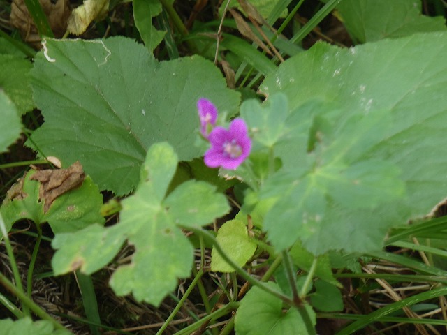 b0044663_23272611.jpg