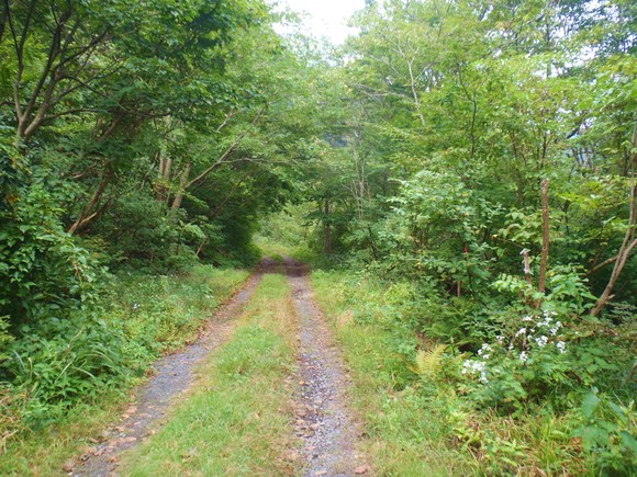 e0244967_15425665.jpg