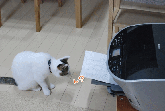 a0266372_22251659.gif