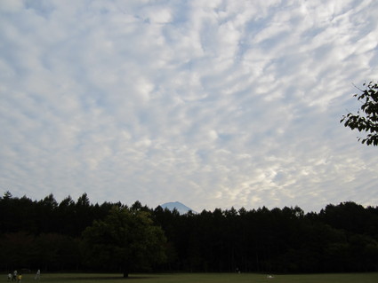 d0261776_17125723.jpg