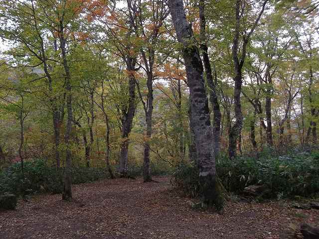 c0212083_23263692.jpg