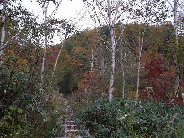 c0212083_23272227.jpg