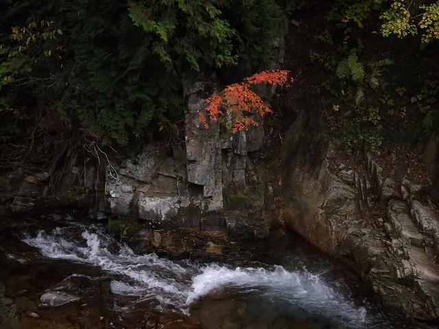 c0212083_23353910.jpg