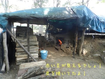 f0205887_18384610.jpg