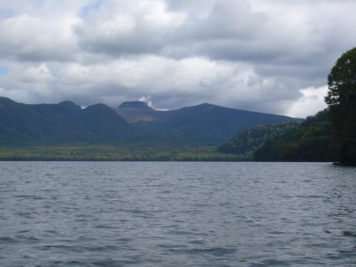 a0118989_21485223.jpg