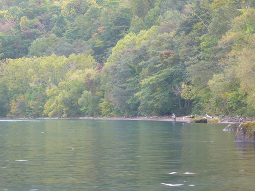 a0118989_2151214.jpg