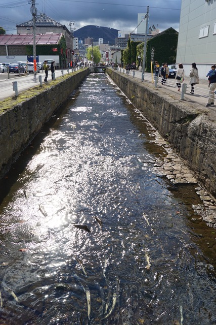d0181492_00756.jpg
