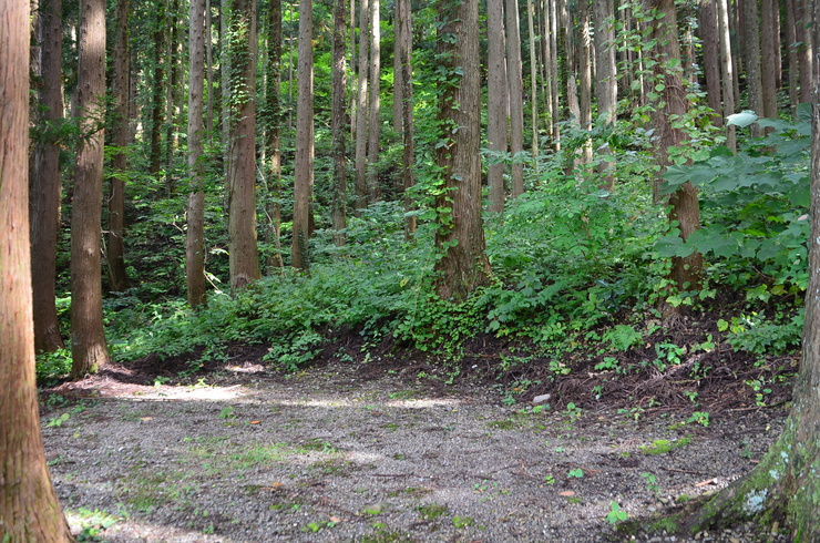 f0082592_14214823.jpg