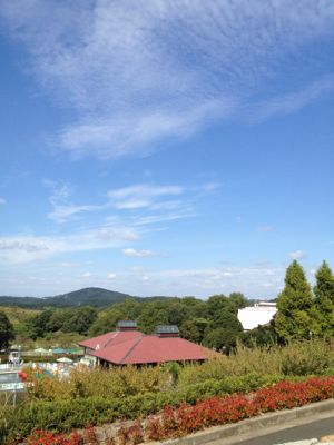 e0188897_23712.jpg