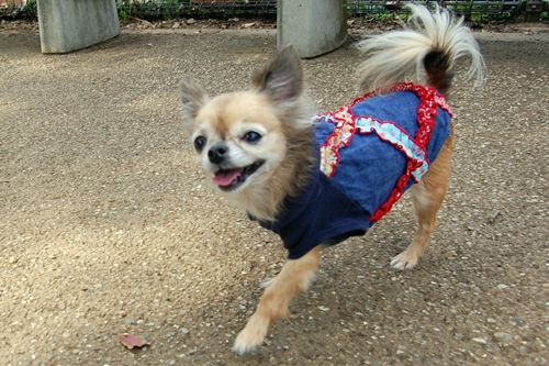 a0155999_2134491.jpg