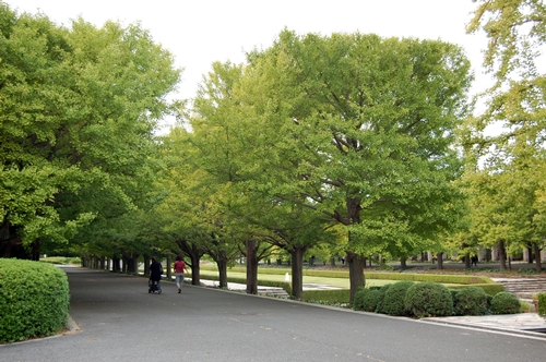 a0155999_221268.jpg