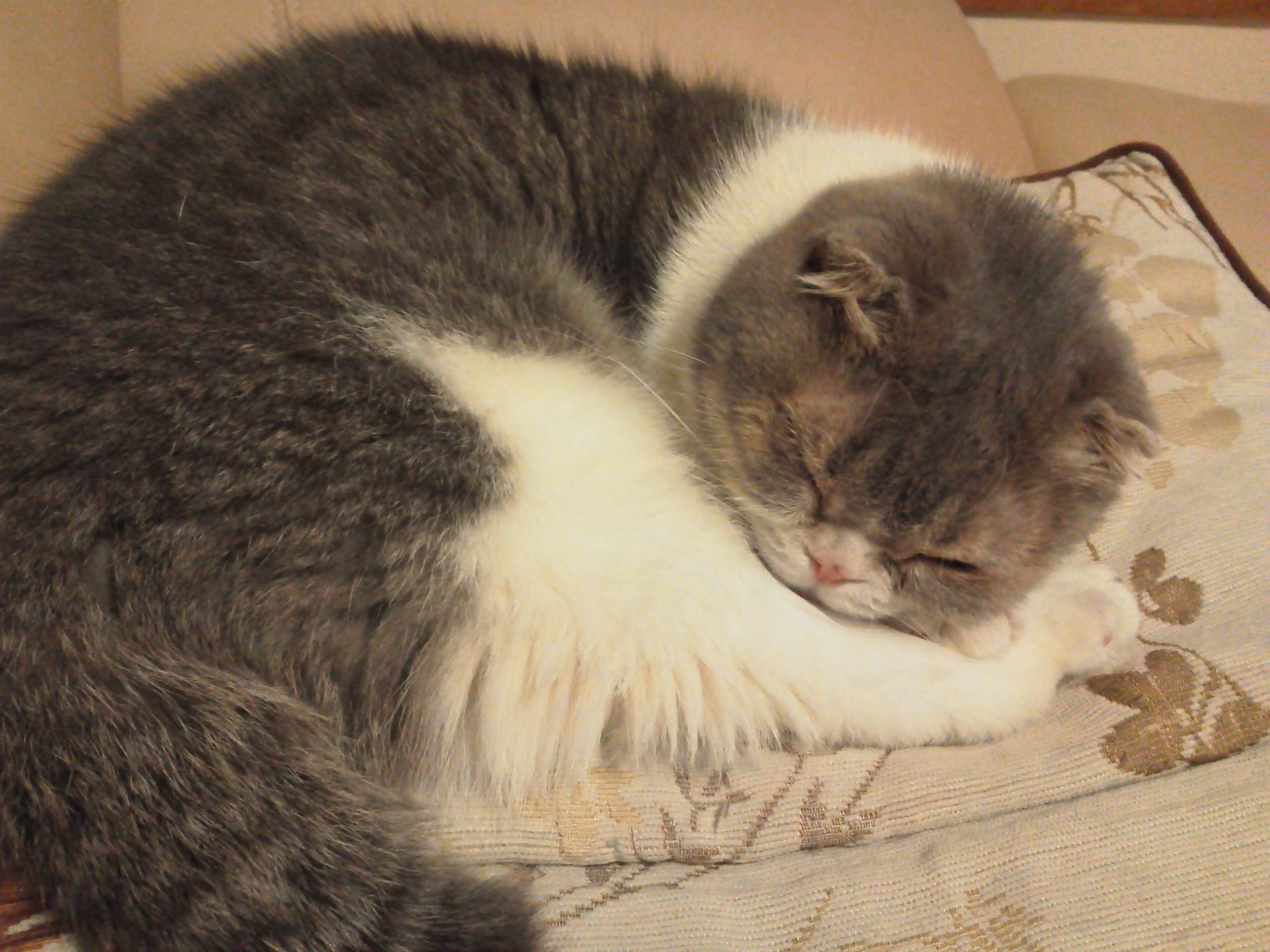 c0210803_1341320.jpg