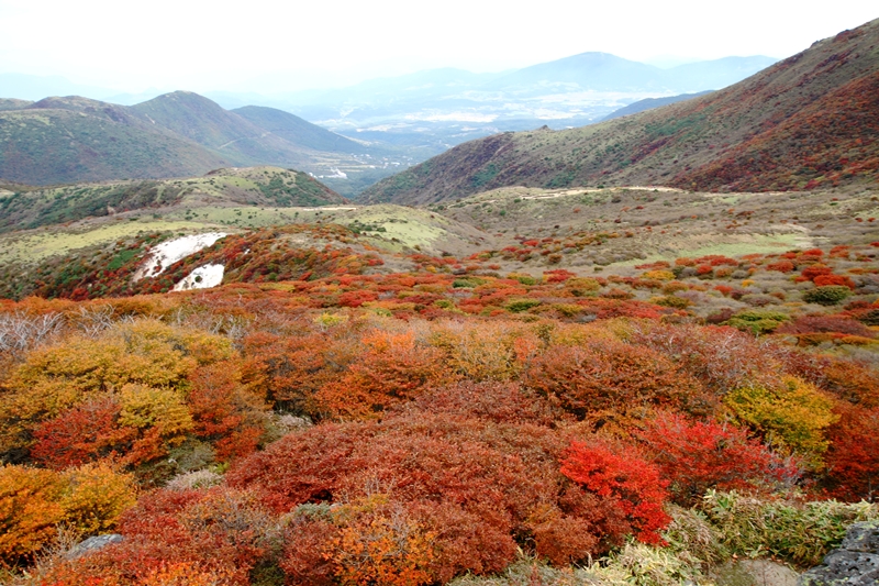 a0097006_23444959.jpg