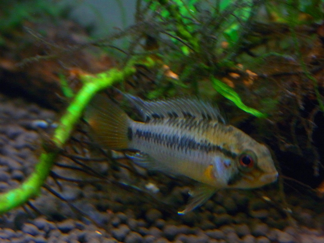 b0274808_019372.jpg