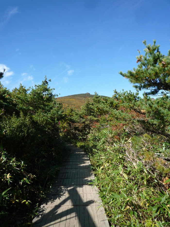  安達太良山・紅葉(福島県二本松市）_c0120210_23205366.jpg