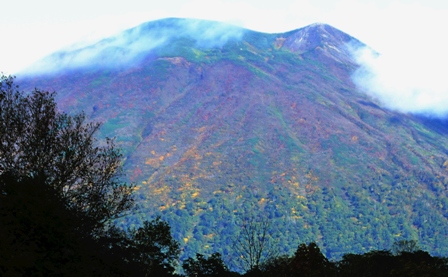 f0128410_10121776.jpg