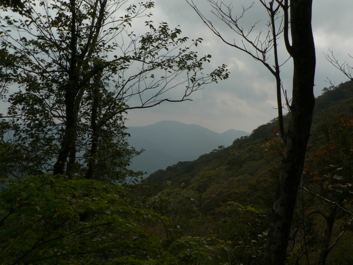 f0219710_6122818.jpg