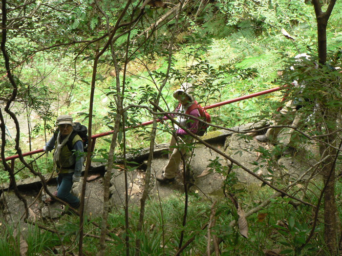 f0219710_63173.jpg