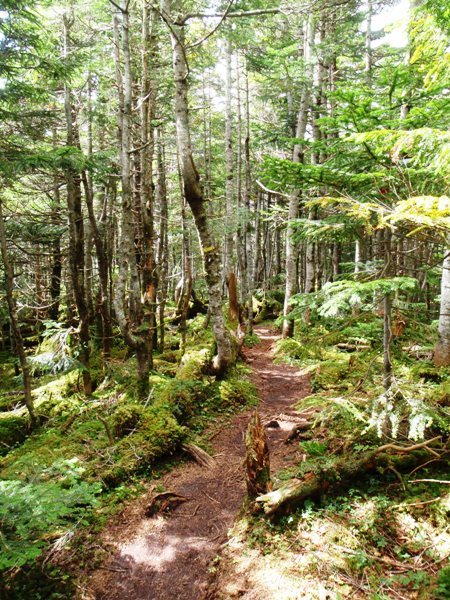 八ヶ岳キレット縦走⑦―西岳から舟山十字路_c0177814_18142355.jpg