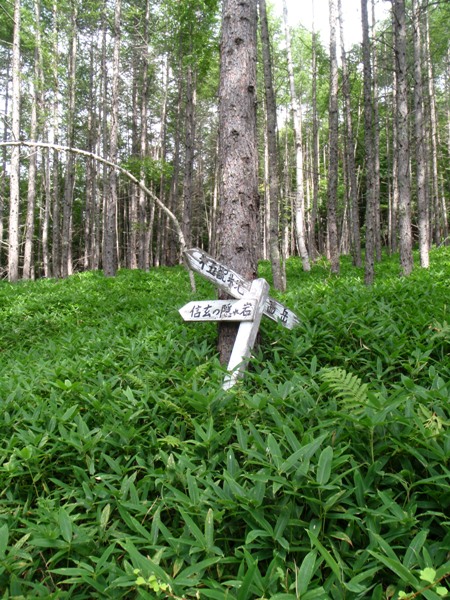 八ヶ岳キレット縦走⑦―西岳から舟山十字路_c0177814_18223827.jpg