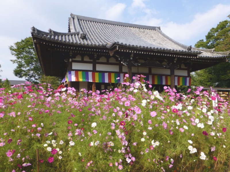b0174217_20504687.jpg