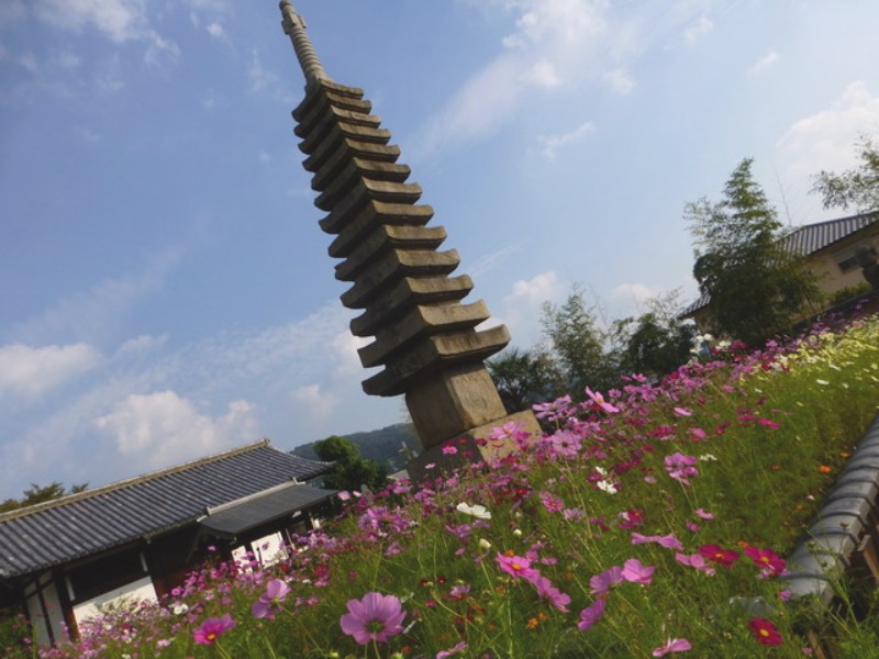 b0174217_20522560.jpg